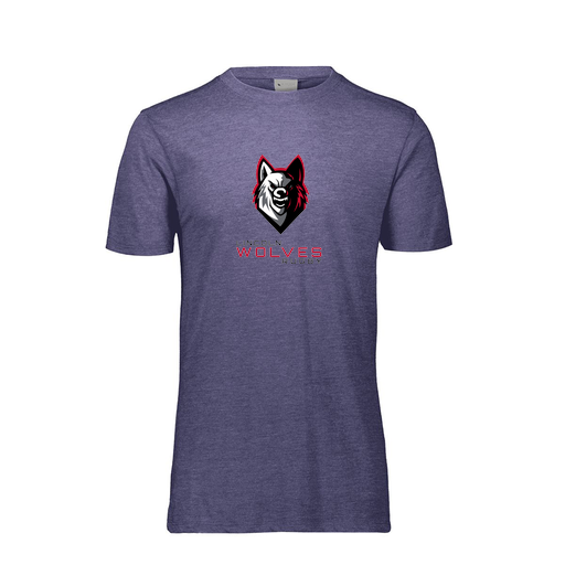 [3065-6310-RYL-AS-LOGO1] Men's Ultra-blend T-Shirt (Adult S, Royal, Logo 1)
